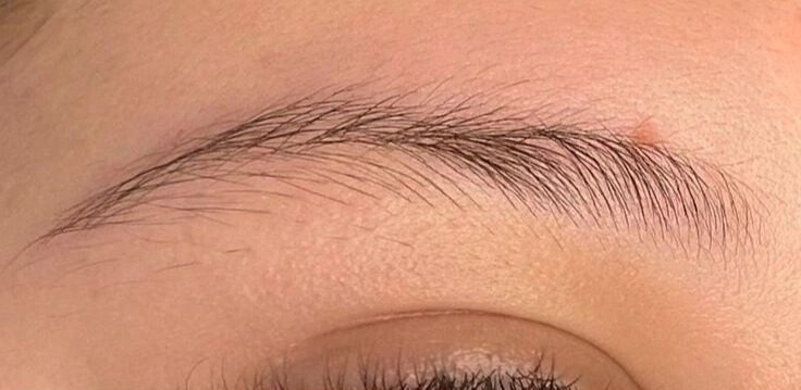 fe1e95de-1a87-47fe-acf2-9ea46fc732a1 before